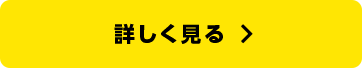 詳しく見る