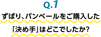 Q.1 ずばり、バンベールをご購入した 「決め手」はどこでしたか？