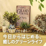 GREEN LIFE01 今日からはじめる、癒しのグリーンライフ