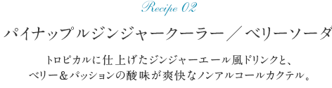 Recipe02 パイナップルジンジャークーラー／ベリーソーダ