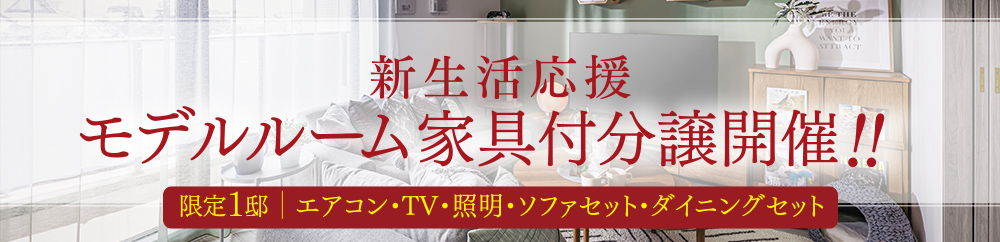 モデルルーム家具付き分譲