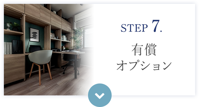 STEP 7. 有償オプション 