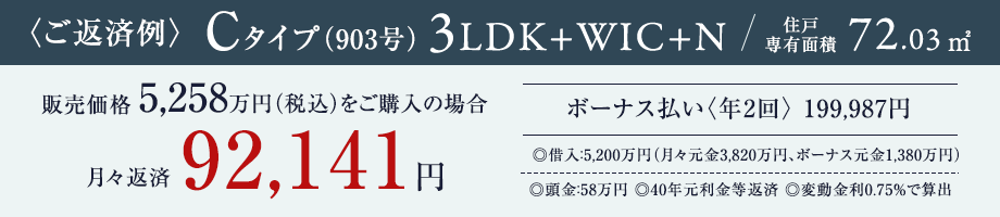 ご返済例 Ctype